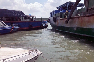chim tau nao vet o tp hcm thuyen truong mat tich