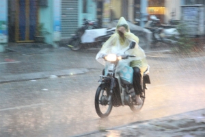 anh huong khong khi lanh mien bac mua rao va giong