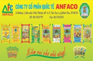 cong ty co phan quoc te anfaco