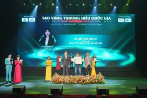 doanh nhan mai phan cam tu   tong giam doc cong ty co phan day cap dien viet thai vinh du nhan giai sao vang doanh nhan quoc gia 2026