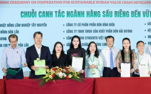nguyen nhu thuy tien   doa thuy tien giua hanh trinh nang tam sau rieng viet