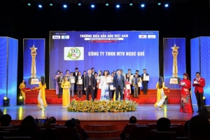 cong ty tnhh mtv ngoc que nhan vinh du nhan giai thuong top 10 thuong hieu dan dau viet nam 2024