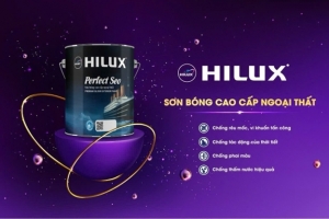 son hilux vinh du nhan giai thuong quoc gia 2026   thuong hieu son uy tin chat luong